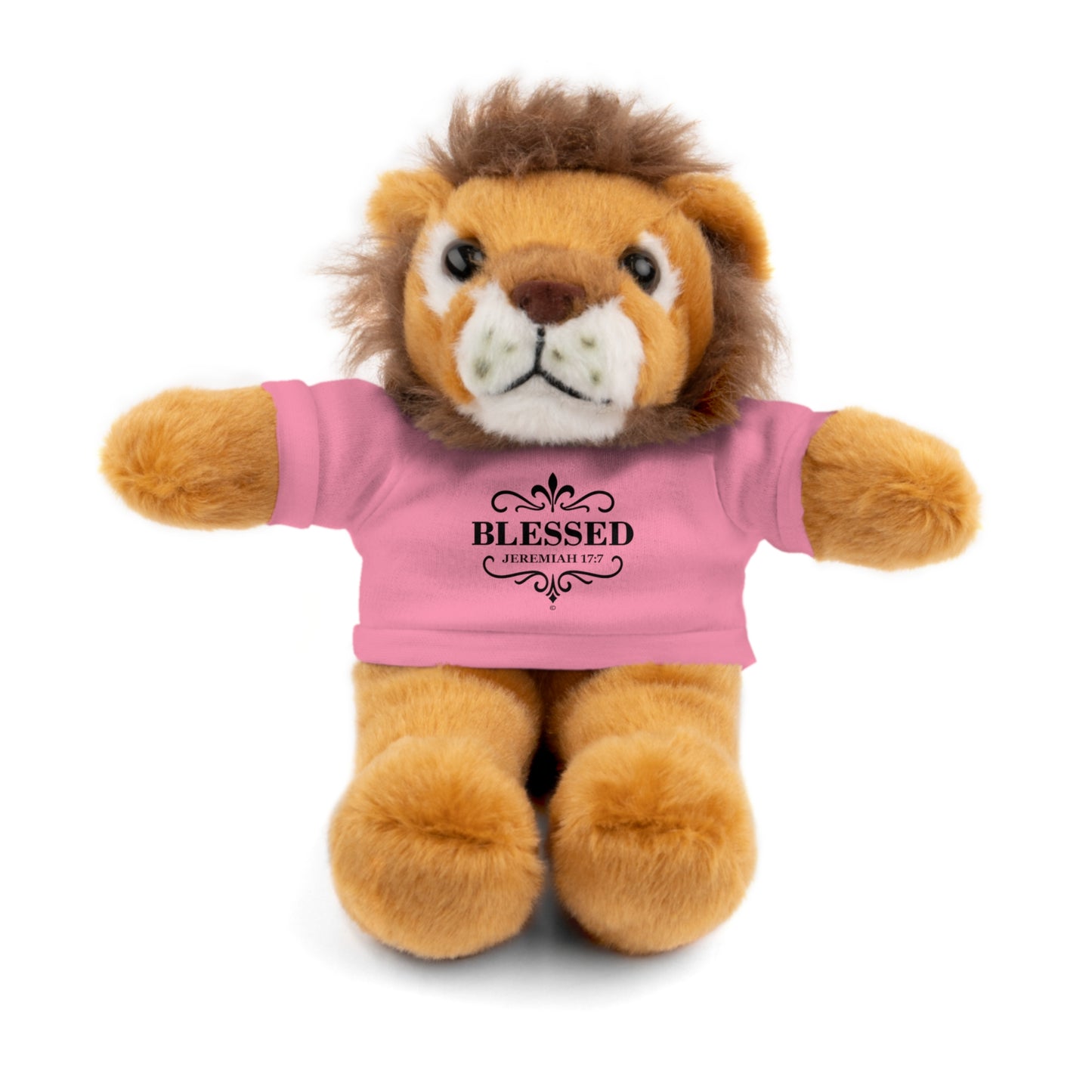 Blessed (Black Lettering) Plush Toy with Tee, Faith-Inspired Stuffed Animal, Inspirational Gift, Birthday Present, Encouragement Gift