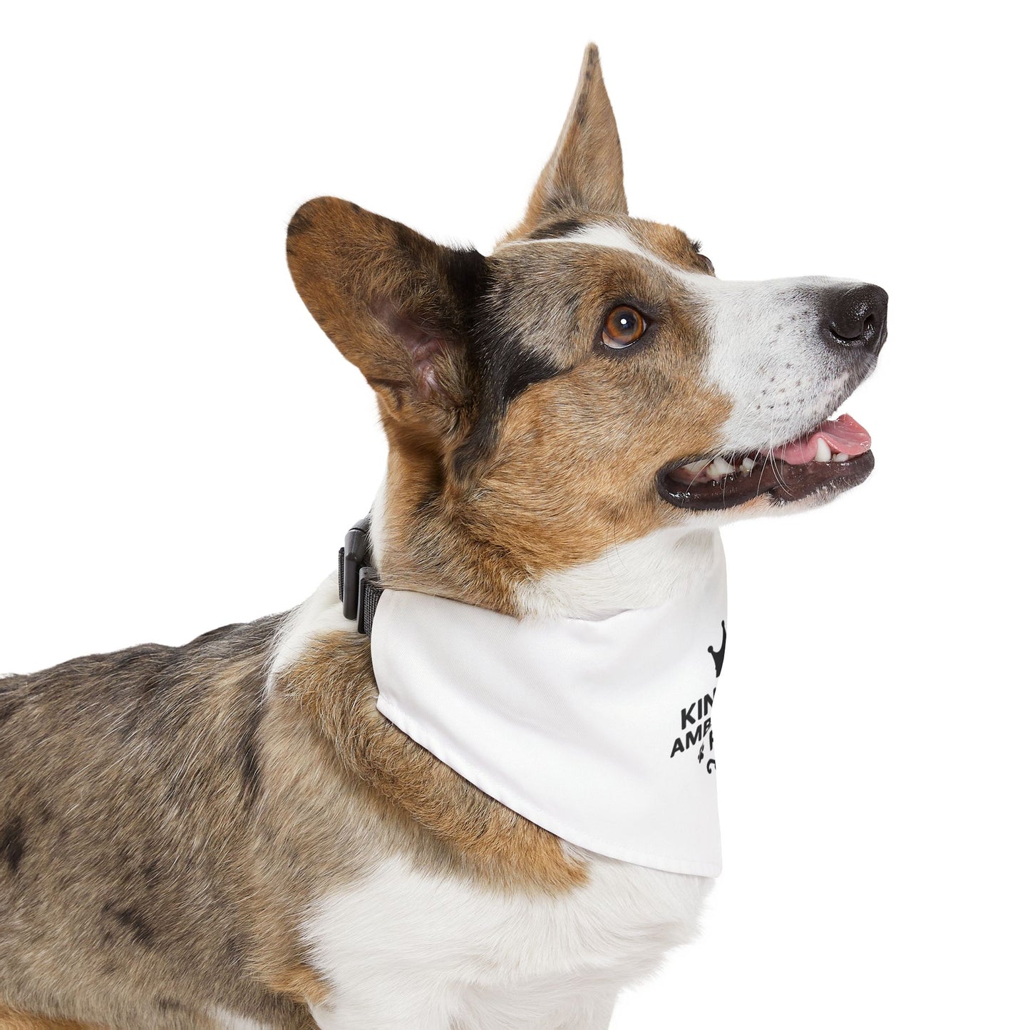 Kingdom Ambassador Pet (Black Lettering) Clip-on Bandana Collar