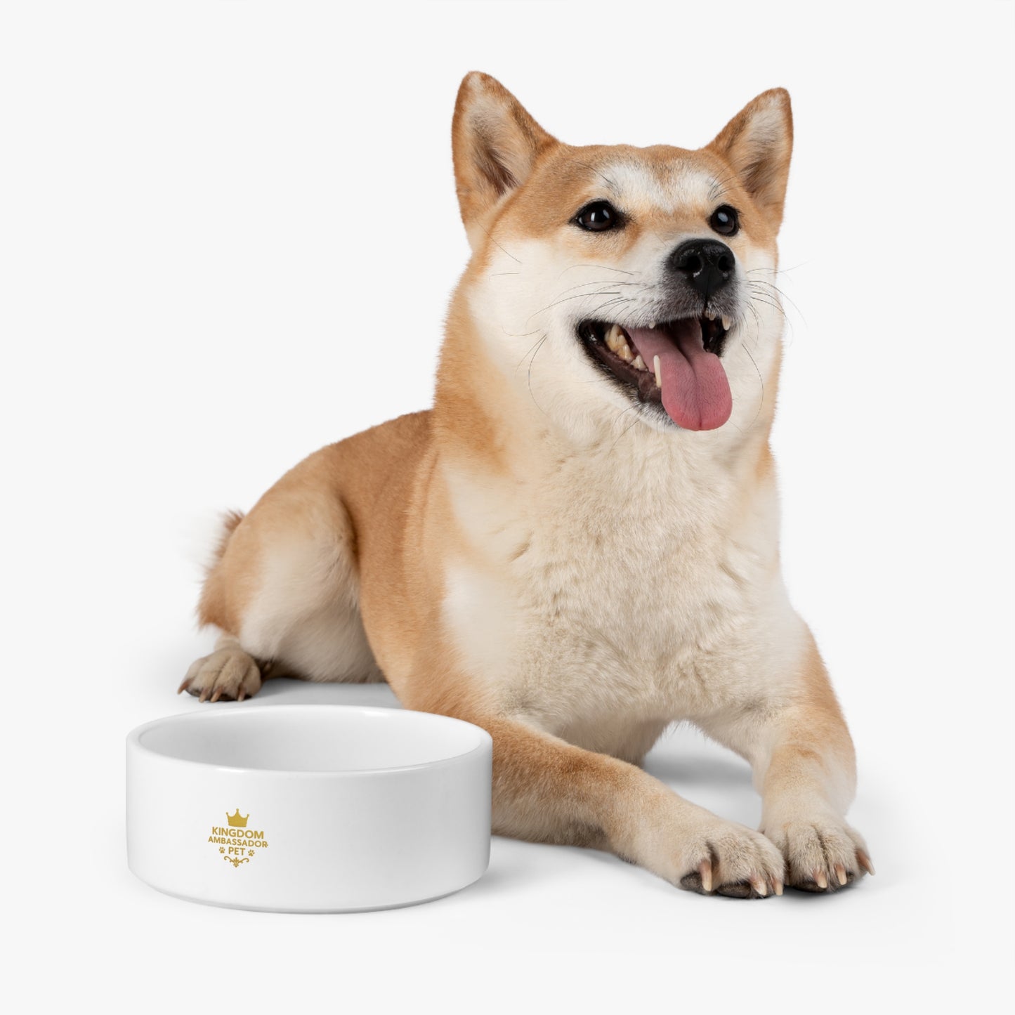 Kingdom Ambassador Pet (Gold Lettering) Stylish Pet Bowl for Pampered Pets, Dishwasher Safe Pet Dish, Pet Gift for Animal Enthusiasts
