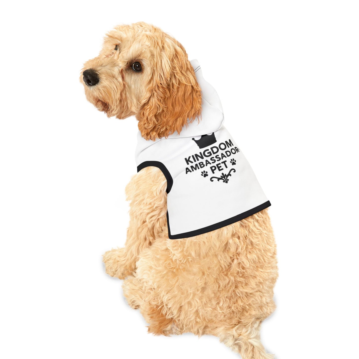 Kingdom Ambassador Pet (Black Lettering ) Hoodie Hooded Sweatshirt Apparel Cloting for Stylish Companions