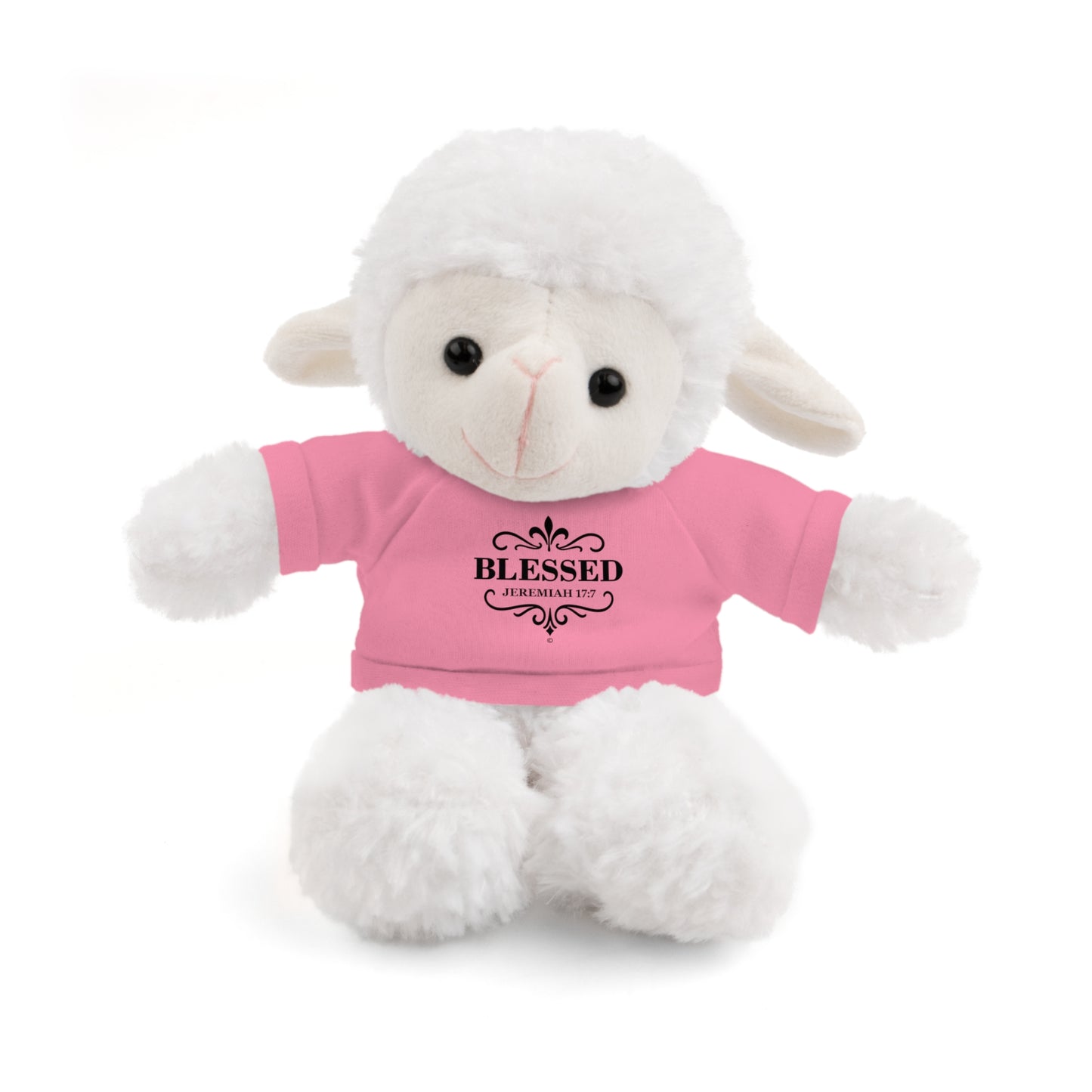 Blessed (Black Lettering) Plush Toy with Tee, Faith-Inspired Stuffed Animal, Inspirational Gift, Birthday Present, Encouragement Gift