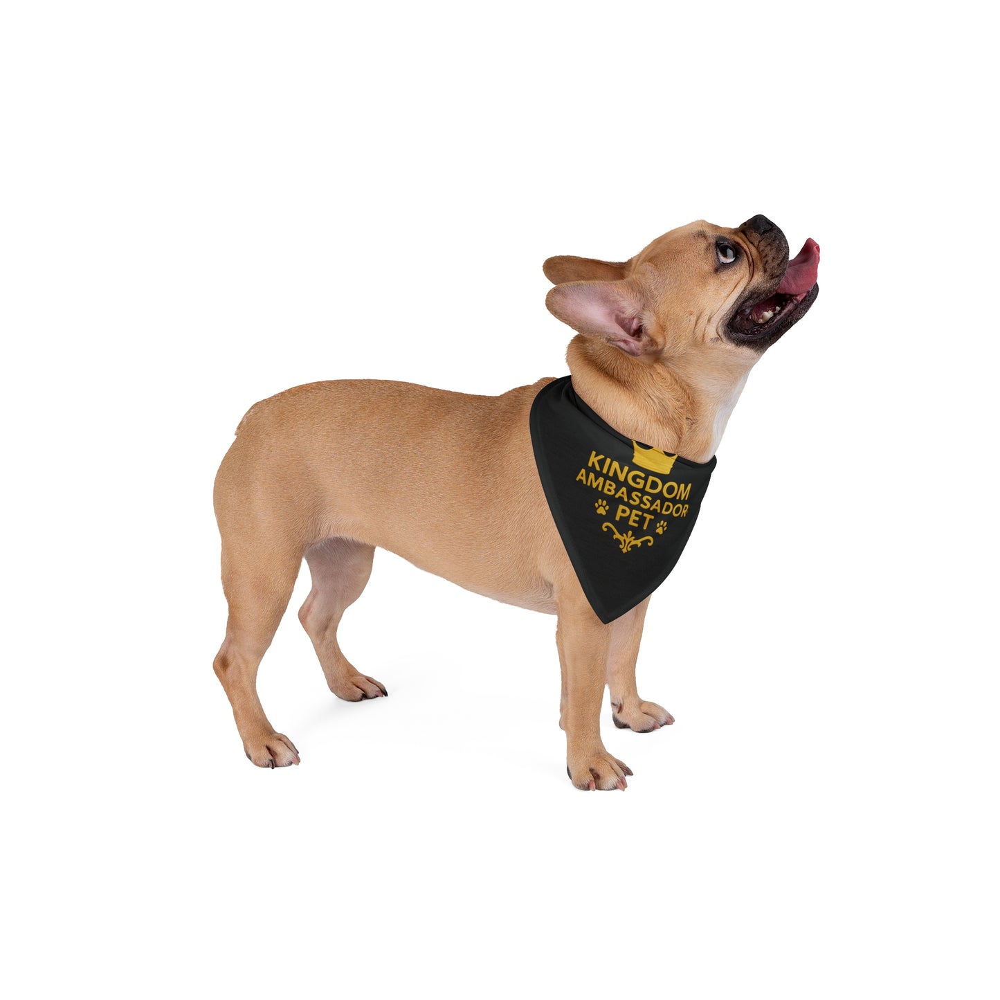 Kingdom Ambassador Pet (Gold Lettering on Black) Bandana