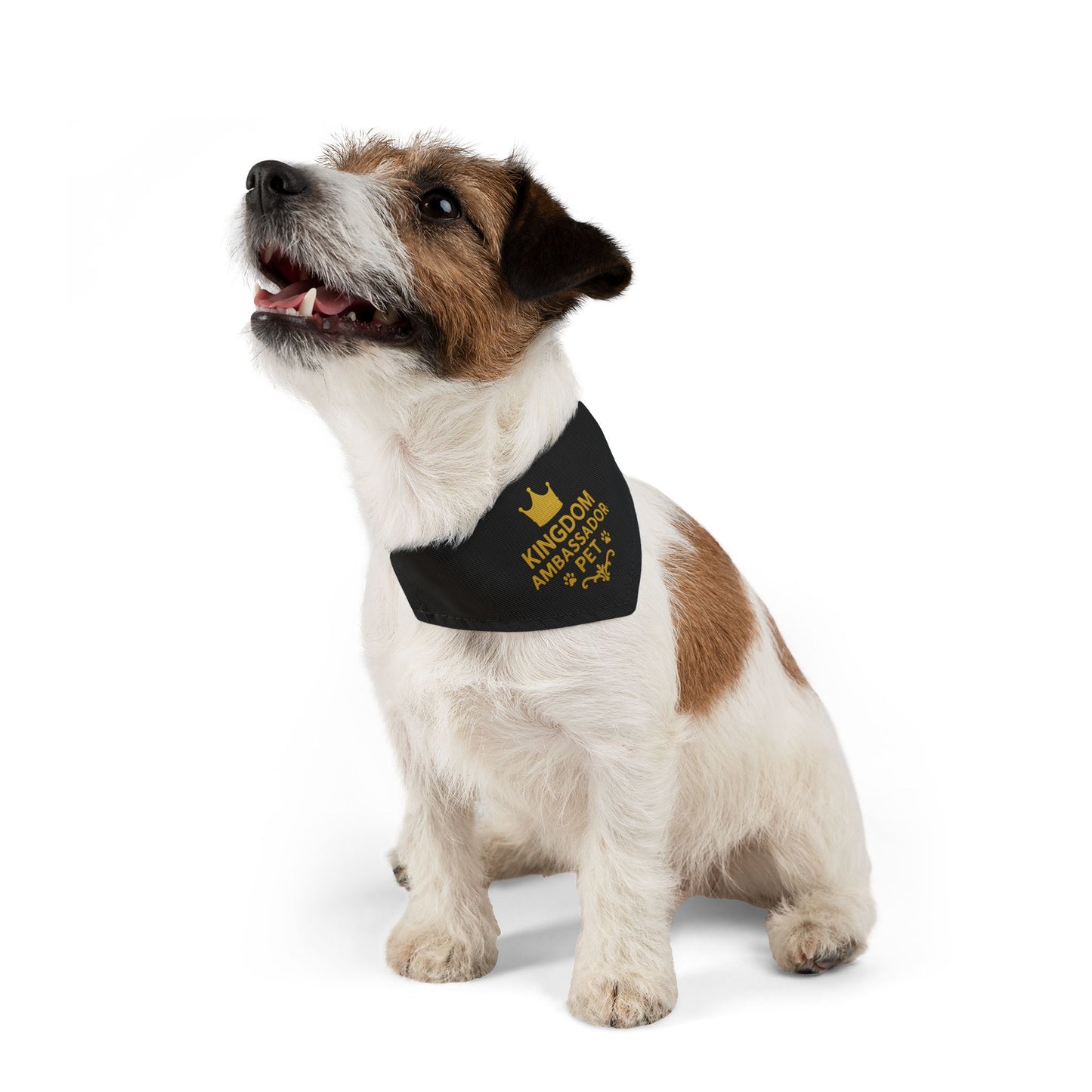 Kingdom Ambassador Pet (Gold Lettering on Black) Convenient, Clip-on Bandana Collar