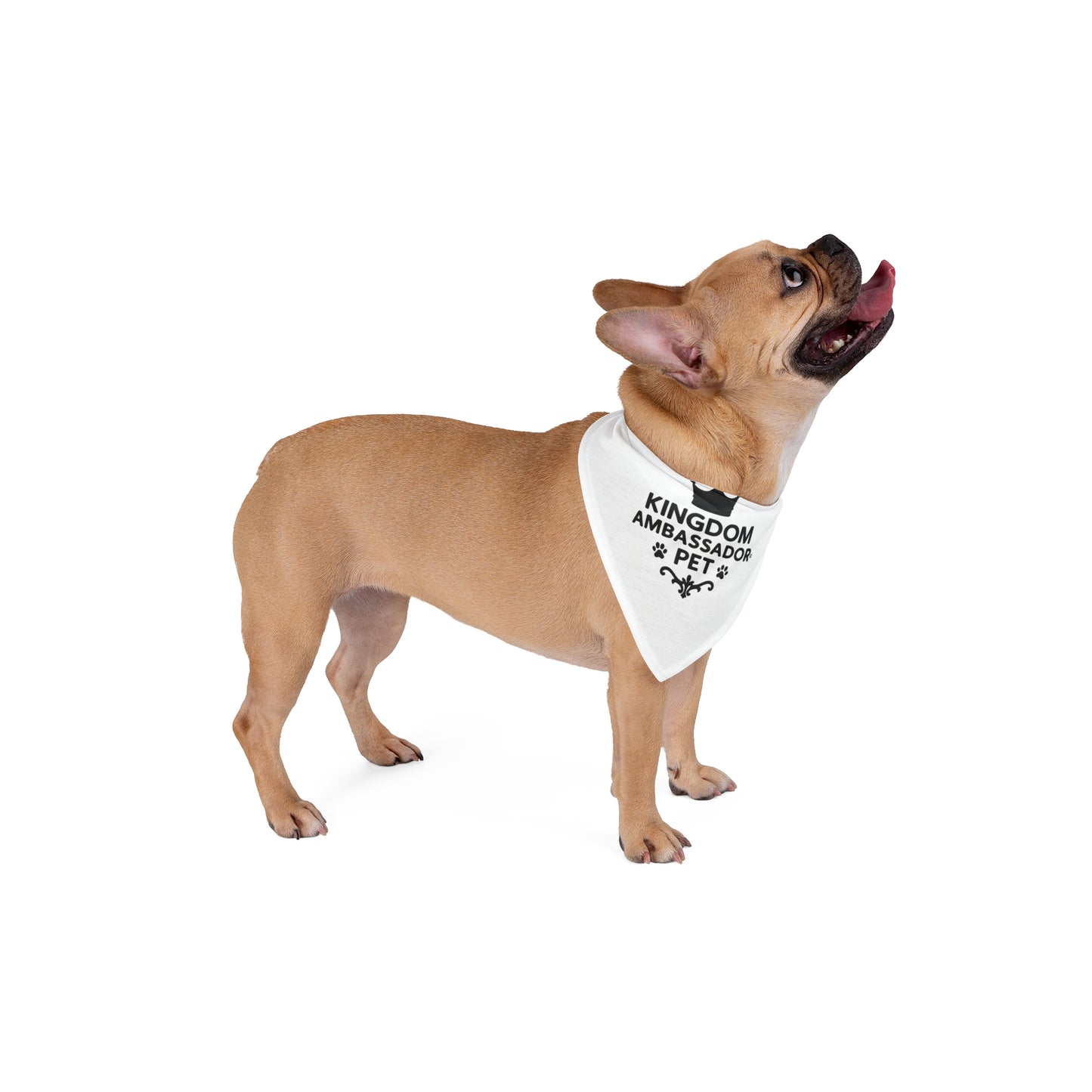 Kingdom Ambassador Pet (Black Lettering) Bandana, Design for Stylish Dogs, Inspirational Pet Bandana, Gifts for Pet Lovers