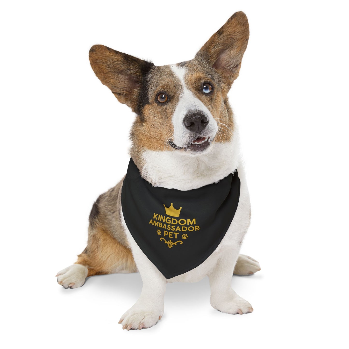 Kingdom Ambassador Pet (Gold Lettering on Black) Convenient, Clip-on Bandana Collar