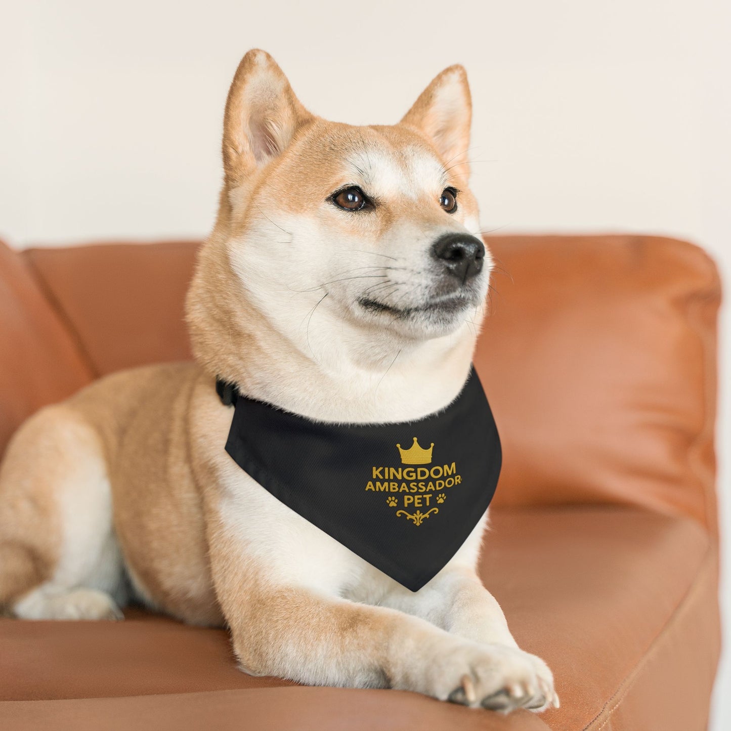 Kingdom Ambassador Pet (Gold Lettering on Black) Convenient, Clip-on Bandana Collar