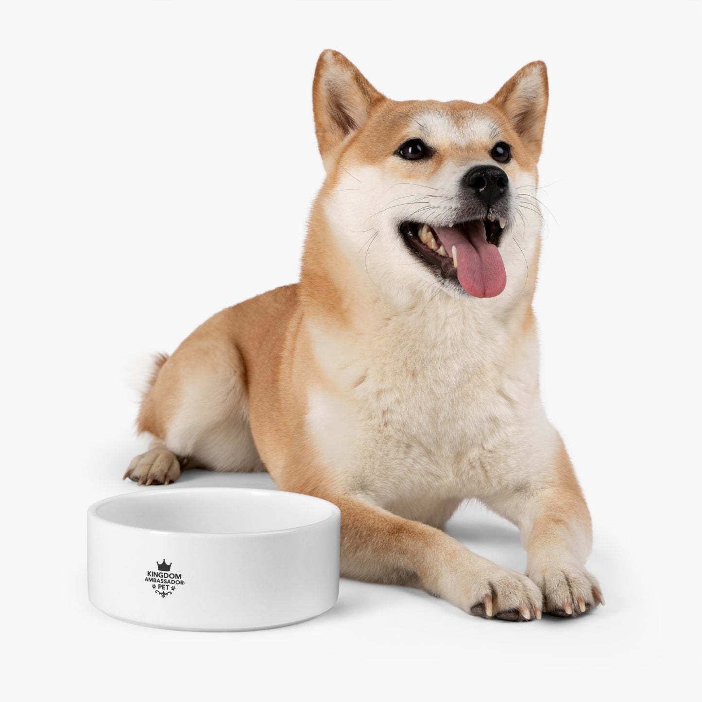 Kingdom Ambassador Pet (Black Lettering) Stylish Pet Bowl for Pampered Pets, Dishwasher Safe Pet Dish, Pet Gift for Animal Enthusiasts