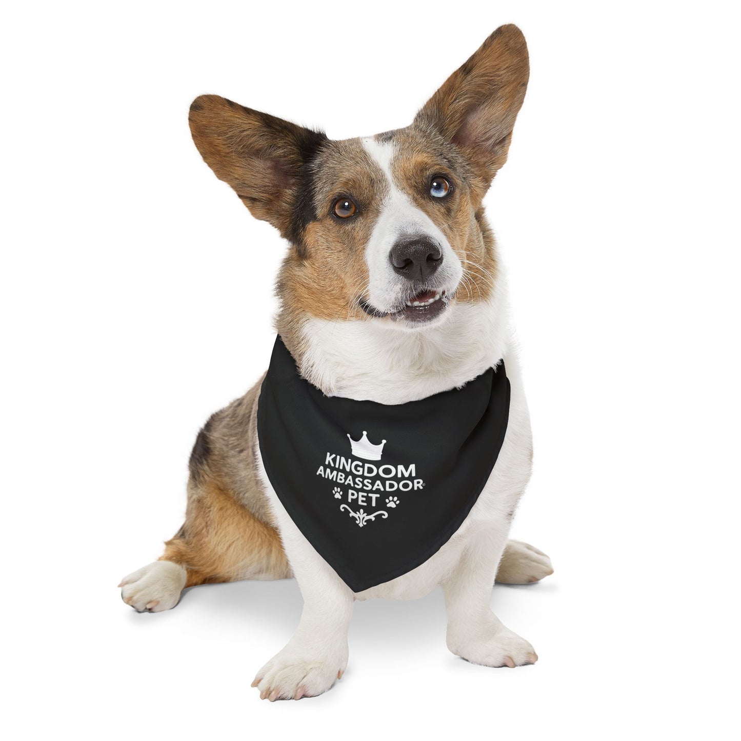 Kingdom Ambassador Pet (White Lettering on Black) Bandana Collar, Inspirational Pet Fashion Accessory, Pet Lover Gift