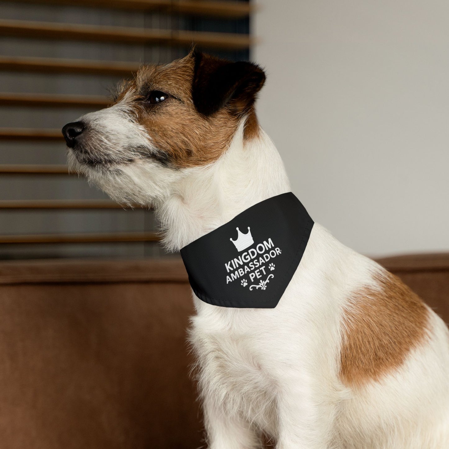 Kingdom Ambassador Pet (White Lettering on Black) Bandana Collar, Inspirational Pet Fashion Accessory, Pet Lover Gift