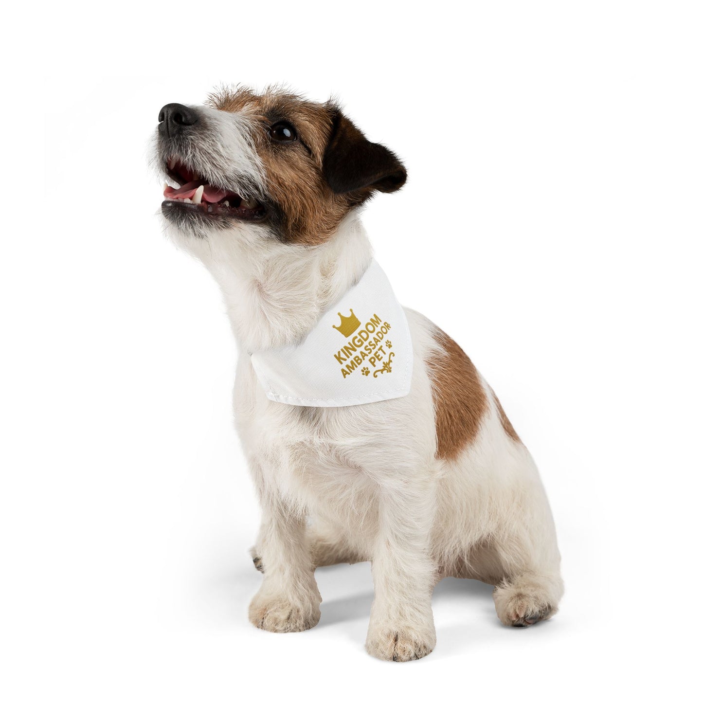 Kingdom Ambassador Pet (Gold Lettering) Bandana Collar, Inspirational Pet Fashion Accessory, Pet Lover Gift