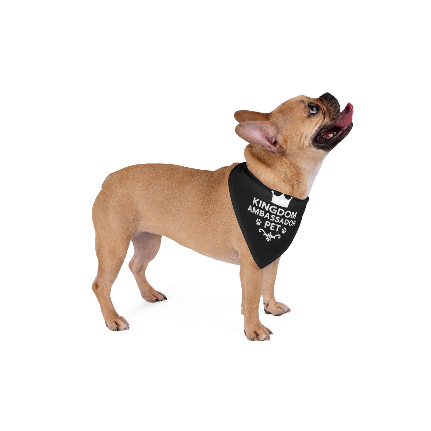 Kingdom Ambassador Pet (White Lettering on Black) Bandana