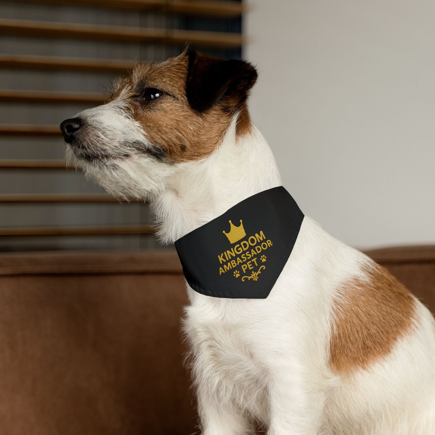 Kingdom Ambassador Pet (Gold Lettering on Black) Convenient, Clip-on Bandana Collar