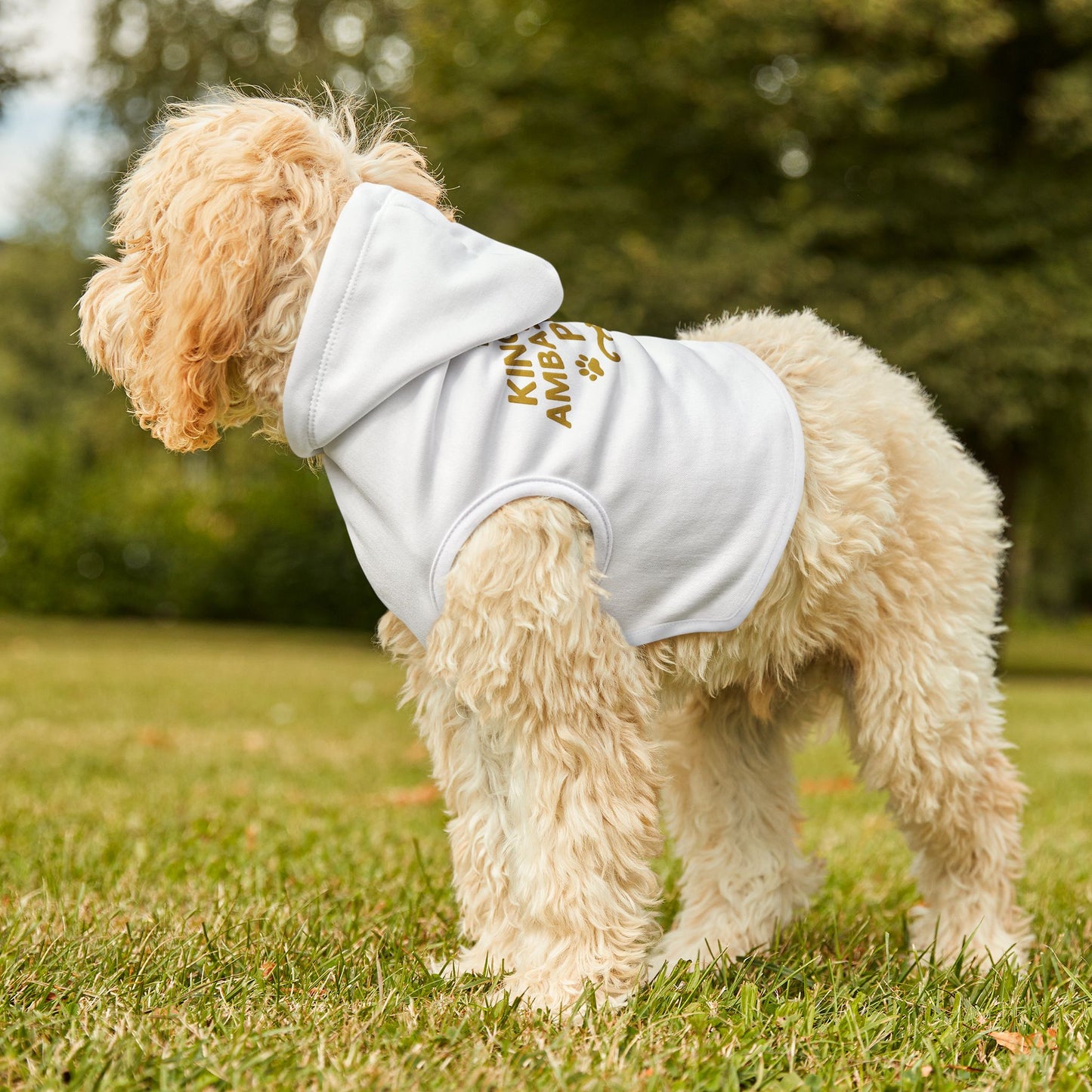 Kingdom Ambassador Pet (Gold Lettering) Hoodie Hooded Sweatshirt Apparel Clothing for Stylish Companions