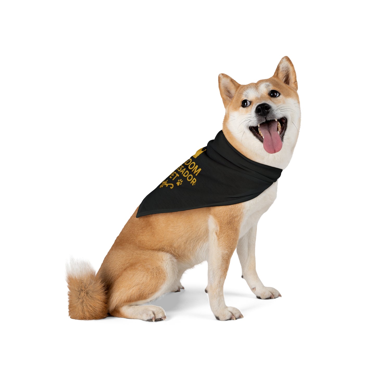 Kingdom Ambassador Pet (Gold Lettering on Black) Bandana
