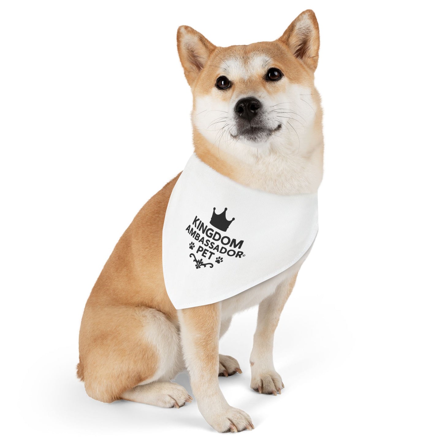 Kingdom Ambassador Pet (Black Lettering) Clip-on Bandana Collar
